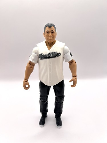 Wwe shane mcmahon wrestling - wwe,